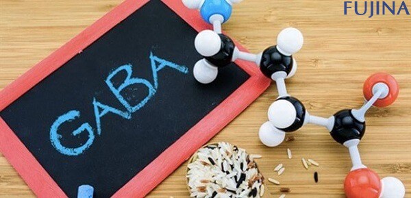 Gaba La Gi Va Tac Dung Cua No 67e114bb5a1ab.webp