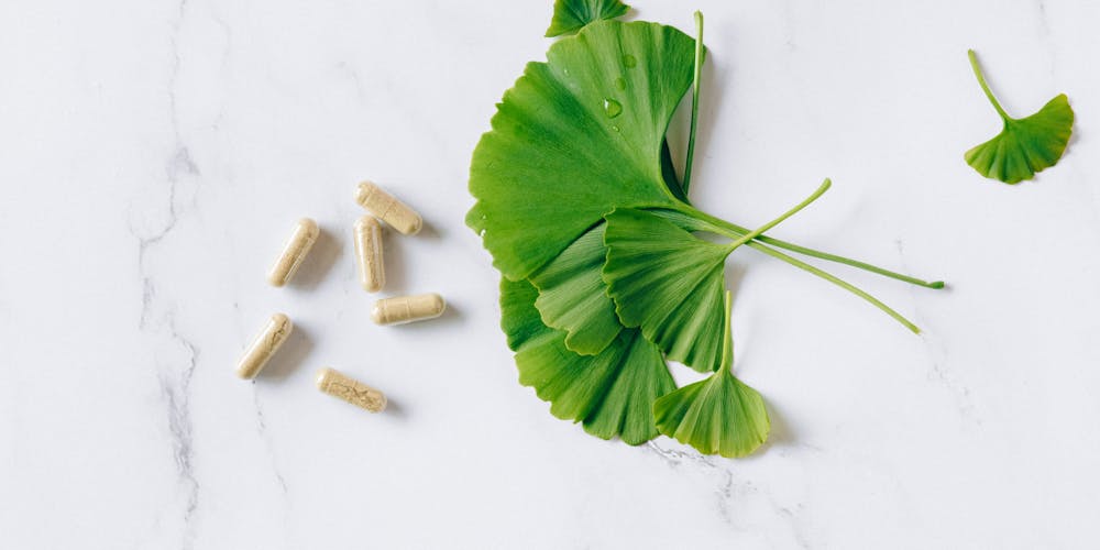 Phụ Nữ Cho Con Bú Có Uống Ginkgo Biloba Không? 1 Phu Nu Cho Con Bu Co Uong Duoc Ginkgo Biloba Khong 67ebbd3864c10.jpg